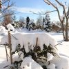 Солнце такое, что не хотелось с улицы уходить! И, кажется, немножко греет? ☀😍 Радует точно! ☀🙌😄