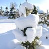 Самые причудливые формы наблюдаем сейчас в саду. Удивительно даже - как этот снег так держится? 😍 ❄️ Ни одного ветренного дня с ноября! Снег как лёг на ветки, 🌲❄️ так и лежит, зима подсыпает потихоньку... 🌨🌨 Без ветров и бурь так спокойно в саду, и на душ