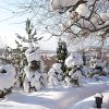Сегодня разбушевался ветер, и сдувает остатки былой красоты 💨❄️ Полюбуемся напоследок. Неизвестно, когда такое ещё повторится! ❄️☀😍