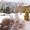 После морозный ночи - очень яркий день ☀❄️✨