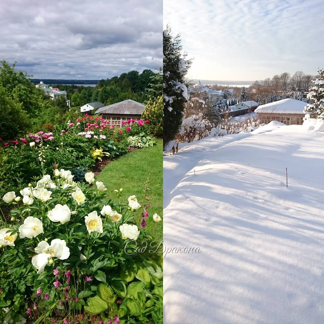 Лето и зима - два фото с разницей в полгода для флешмоба . 🌸❄️ Зимой, кажется, больше смотрим на небо. 😄💙☀