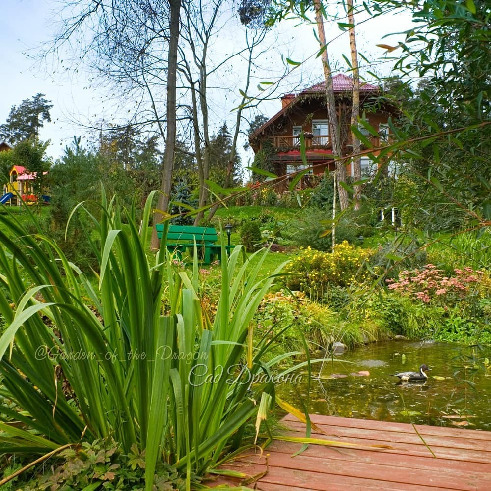 Наши работы. 🏞 Продолжение, начало в предыдущем посте.🍀 Ландшафтное решение: