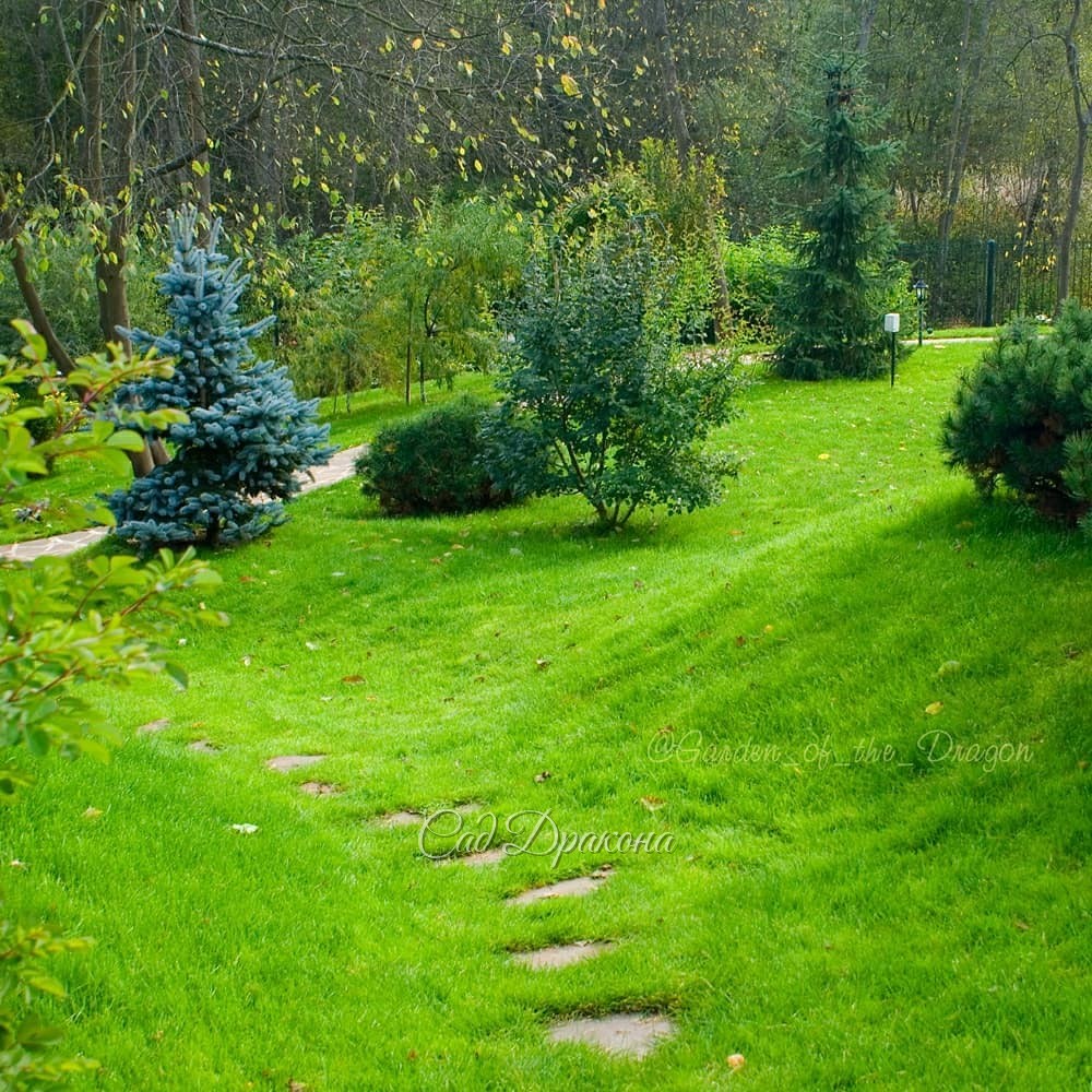 Наши работы. 🏞 Продолжение, начало в предыдущем посте.🍀 Ландшафтное решение:
