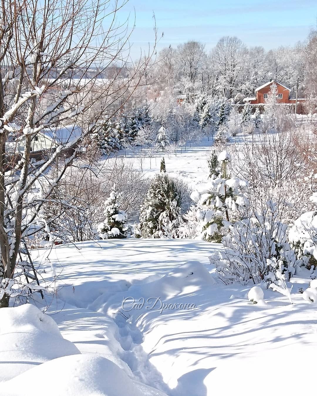 После недавнего снегопада. Последний ли это был привет зимы? 🌨❄️☀ Хочется верить... 🤗😁