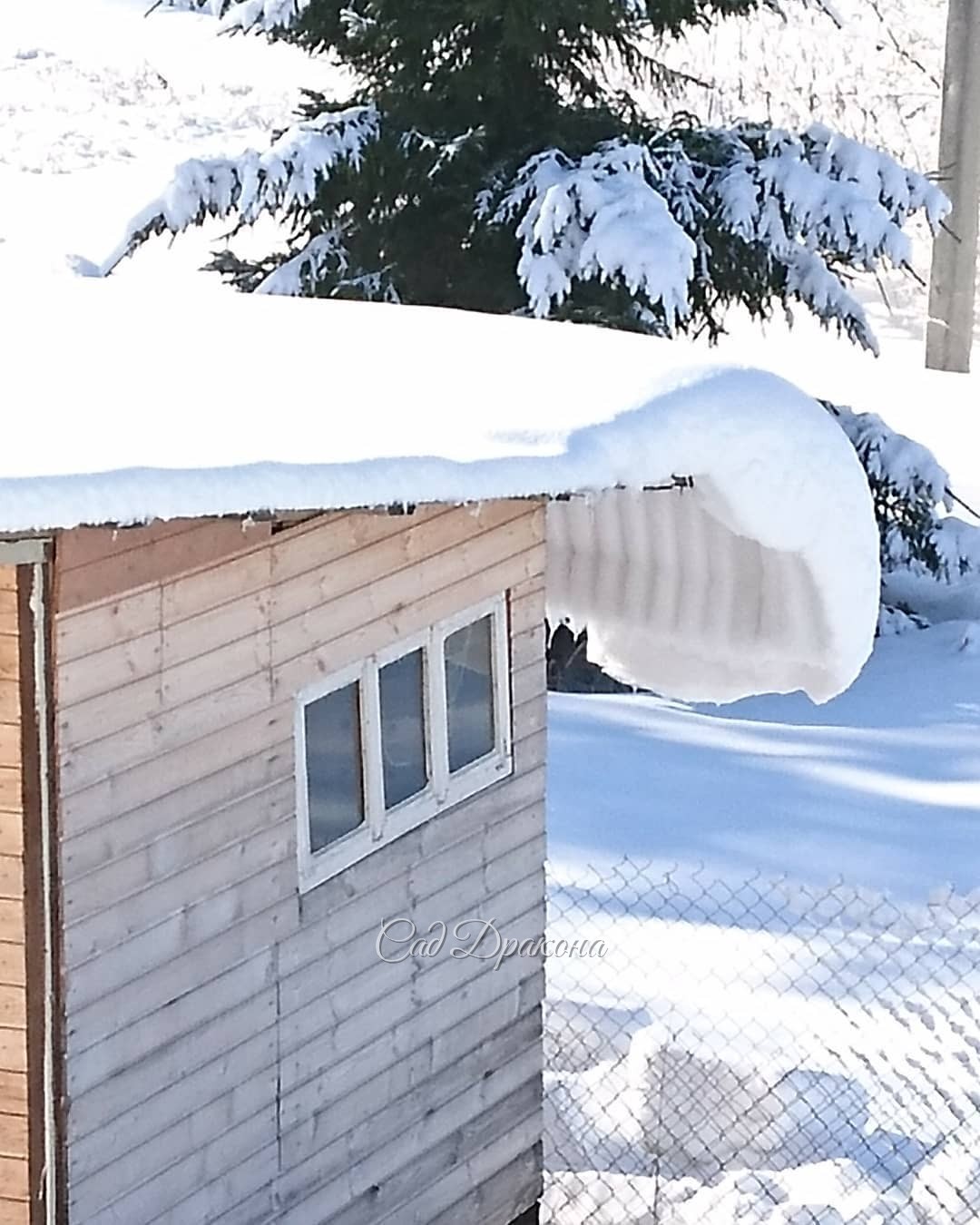 После недавнего снегопада. Последний ли это был привет зимы? 🌨❄️☀ Хочется верить... 🤗😁
