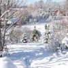 После недавнего снегопада. Последний ли это был привет зимы? 🌨❄️☀ Хочется верить... 🤗😁