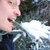 Древняя китайская техника хэджирования и тримминга хвойных - За Ку Шу.