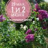 На этой неделе в среду, субботу и воскресенье - Дни открытых дверей! 🌸🤗 С 10 утра до 18:00. Кто захочет приехать в среду, пожалуйста, напишите в Директ! 🌟 Цветут ранние пионы, сирени, венерины башмачки. Хвойные радуют молодыми приростами, 🌲хосты - свежими