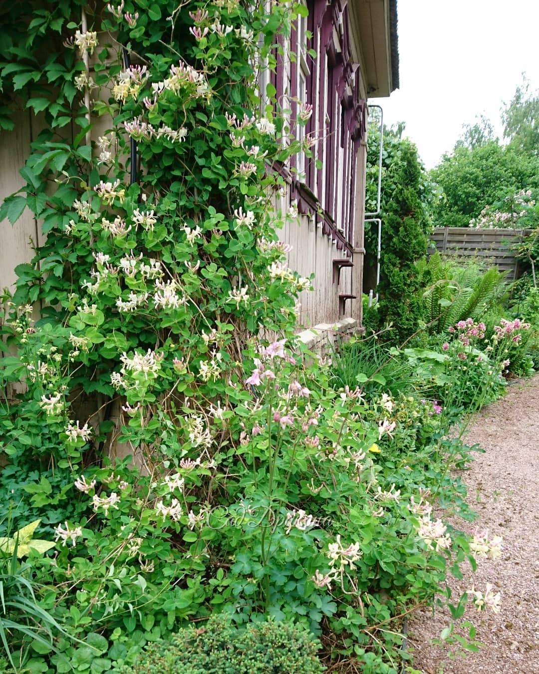 Начало лета нас балует ☀ - тепло даже ночами, везде цветы 🌸 и только тёплого дождика 💦 мы можем пожелать для полного блаженства! 🌧🌈😀💫