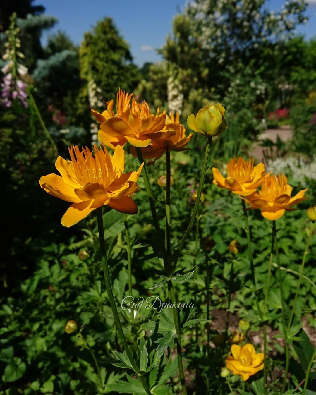 В жёлтых тонах 💛☀🌻✨😊