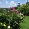 Солнышко! ☀💚🌸🌺 Ароматы флоксов лилий и лилейников пришли на смену запахам мокрой зелени и дождя 🌫🌸💫👒