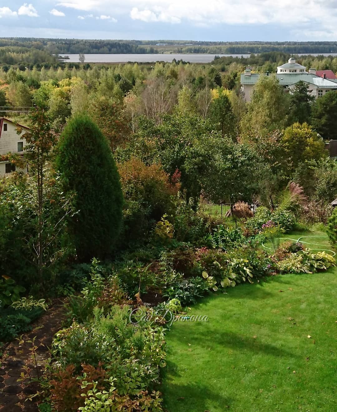 Очень ветренный день 🍃🍃 И немного осенние уже краски 🍂☀