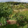 Очень ветренный день 🍃🍃 И немного осенние уже краски 🍂☀