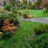 Мокрый, мокрый, мокрый сад 💧 Облетает японский клён... 🍁