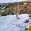 Вчера сыпало ❄️❄️❄️ - сегодня тает...💧 Видите горную сосну из вчерашнего поста? 💚 Она почти закрыла беседку, 🏡к чему мы и стремились, сажая её на этом месте. 🌲😊 Хвойные "работают" зимой и летом, делят сад на зоны, создают кулисы, закрывают постройки, забо