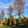 Как по-волшебству, за ночь очистилось небо 💙 Облака менялись постоянно, ☁️🌫 но почти не закрывали солнце ☀☀☀ И после вчерашнего ветра 💨💨💨 - блаженная тишина, ни дуновения.... Что делать в такую погоду - конечно, гулять! 👫 Поехали на Пестовское водохранили