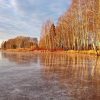 Водохранилища и канал на зиму спускают, и лёд (толщиной 5-7 см) лёг прямо на дно. Поэтому, наверное, не тает... У берега он гладкий, под ним видны ракушки и песок. 🐚🐚🐚 Это во льду отражаются берёзы. И красные заросли дёрена, - до чего яркие у него побеги!
