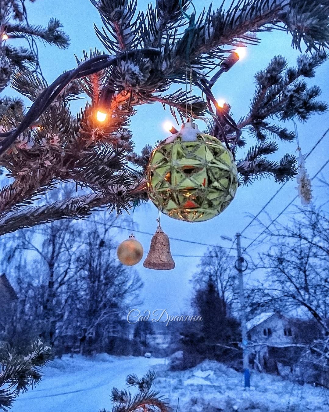 У нас две новости. Первая - мы нарядили нашу ёлочку Lucky Strike 🎄на улице. Украшенная, она тоже забавная, ✨ и её теперь видно из конца в конец улицы. ✨ Народ уже съезжается на праздники, всех встречает наша "зелёная пушистая красавица" 😁🎄🎆🎆🎆 А вторая нов