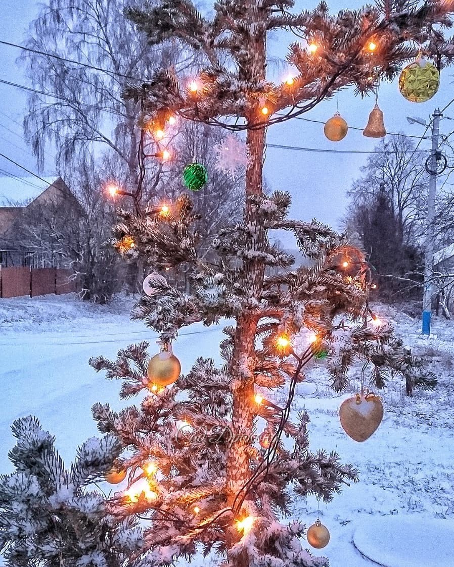 У нас две новости. Первая - мы нарядили нашу ёлочку Lucky Strike 🎄на улице. Украшенная, она тоже забавная, ✨ и её теперь видно из конца в конец улицы. ✨ Народ уже съезжается на праздники, всех встречает наша "зелёная пушистая красавица" 😁🎄🎆🎆🎆 А вторая нов