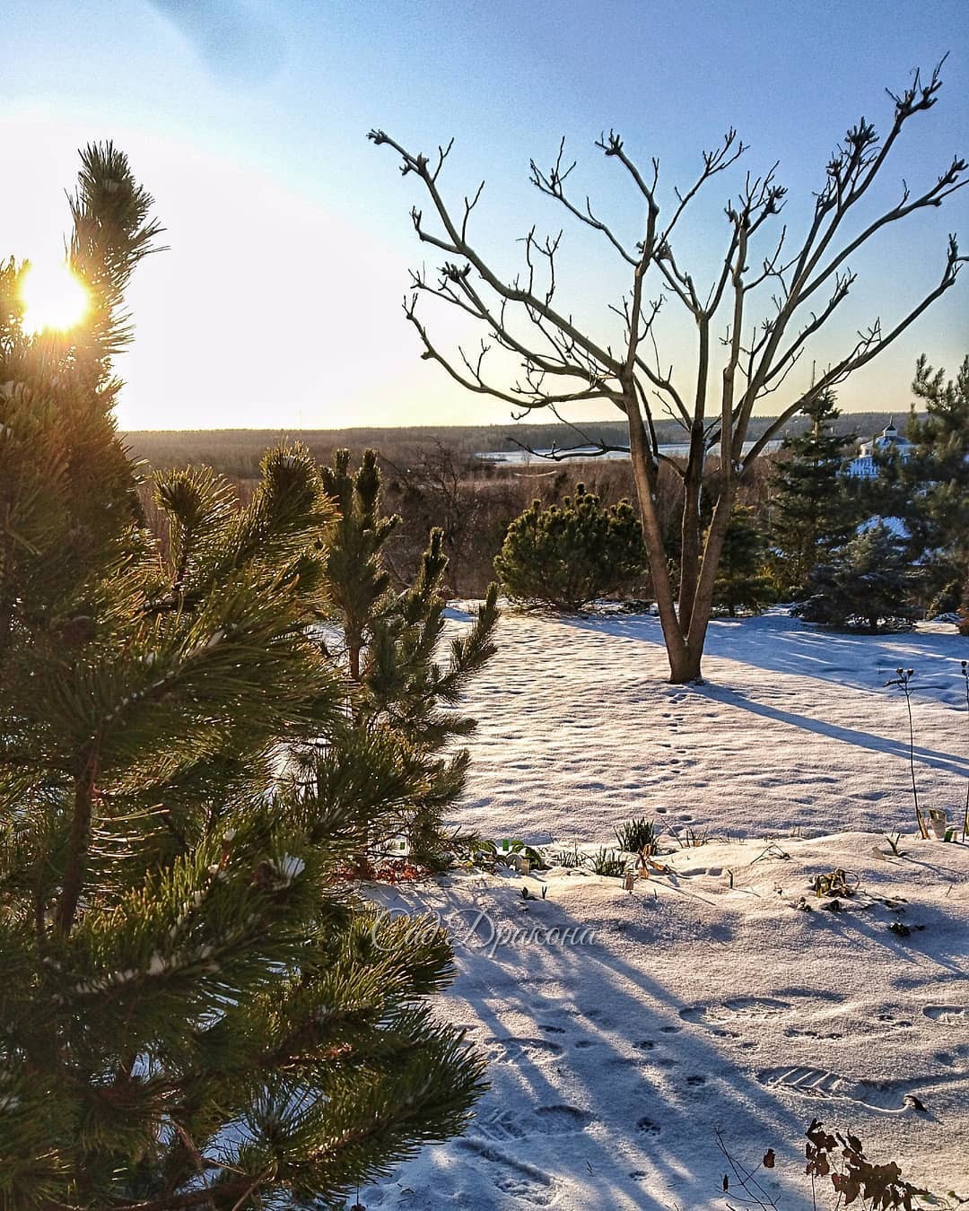 Вчера под вечер... С солнцем веселей ☀ И приятно, что день прибавляется! 🌅