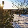 Вчера под вечер... С солнцем веселей ☀ И приятно, что день прибавляется! 🌅