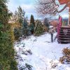 Зимуем... 😊🌲❄️ Немного снега,❄️ и маловато солнца.... ☀ Сад не растёт... Один наш заказчик - образованный человек - на полном серьёзе выговаривал Жене: "Знаете, летом сад хорошо рос, а зимой совсем никак, я разочарован..." 😒🙃 А я мечтаю побороть вирус 🤧и 
