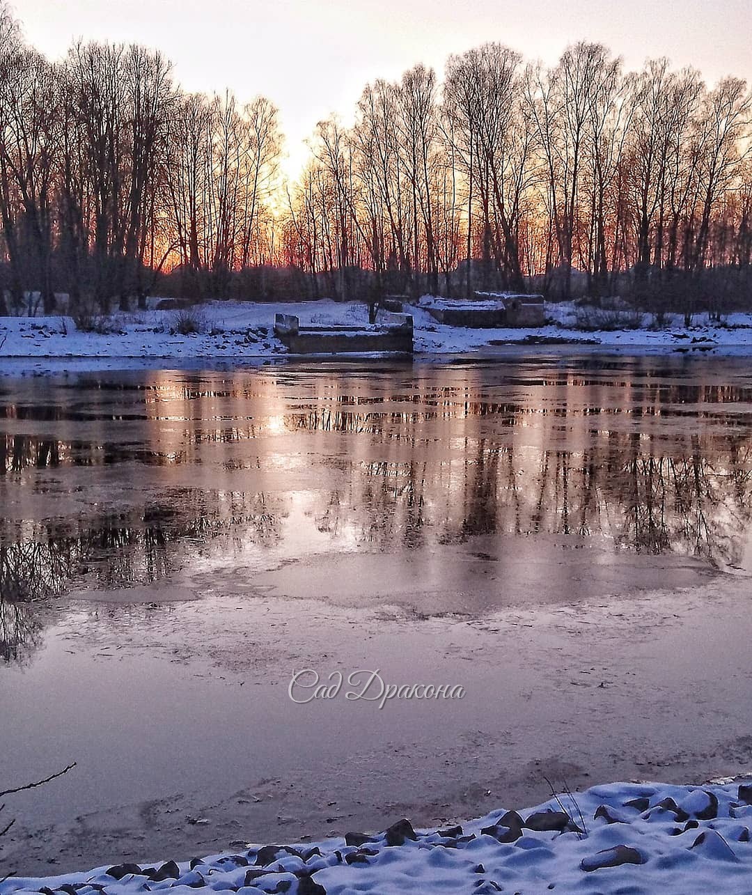 У всех снег, ❄️ а у нас - нет... Тихо и ясно 🌅 Тонкие льдинки плывут по каналу в сторону Москвы мимо старого причала...