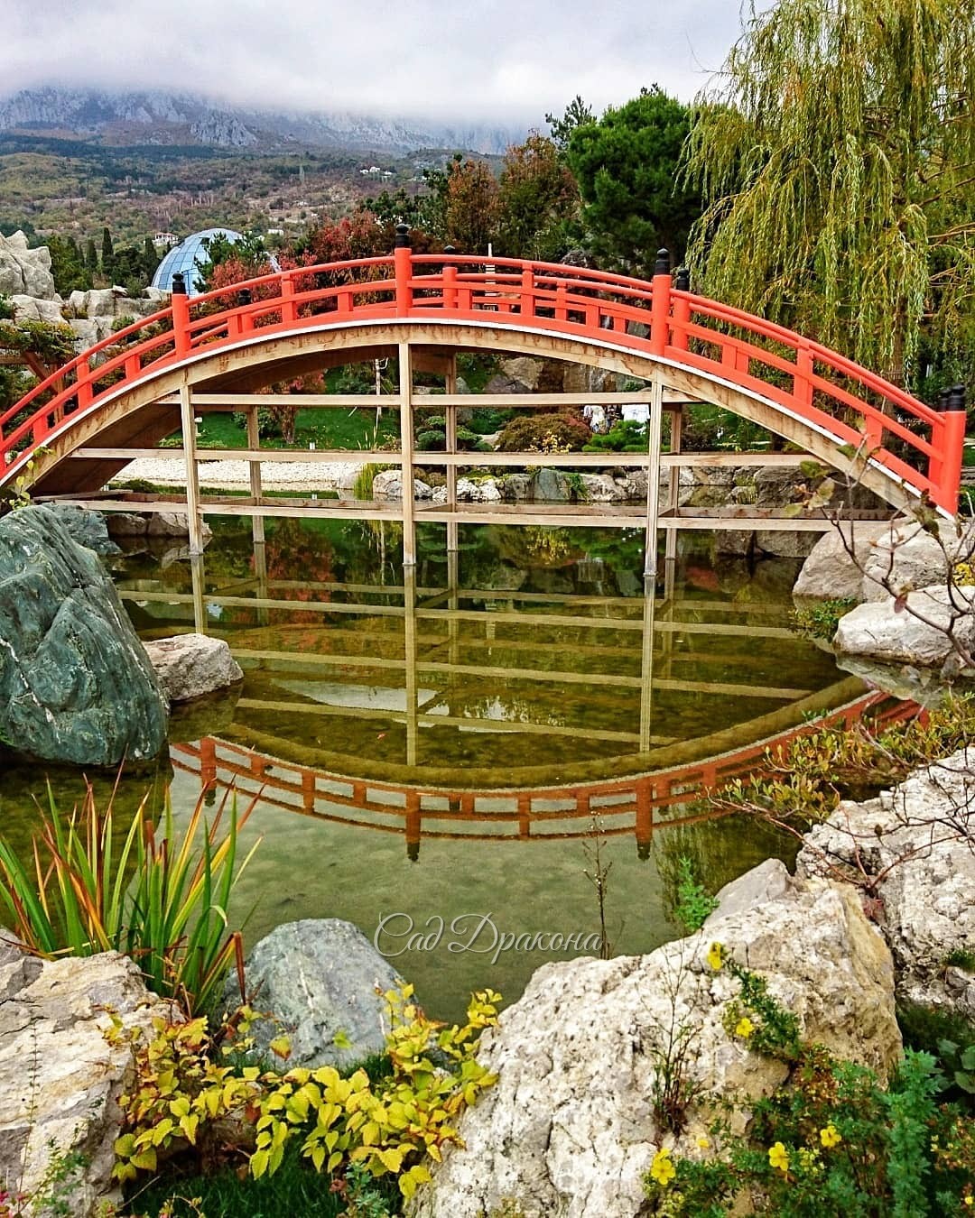 Самый большой водоём расположен в верхней части сада. ⛩️ У него сложная береговая линия, острова, всё это усажено прекрасными растениями , 🌳🏵 среди которой японские клёны разных сортов, 🍁 сакуры,💮 много крупных бонсаев, 🌲цветущие кустарники. 🌼Через воду п
