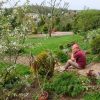 День первого покоса 🌱🌱🌱😊 А ещё распустились первые цветочки на вишне, надо обрабатывать от мониллиоза, но пошёл дождь ☔ В итоге Женя всё же побрызгал вечером. Дождик накрапывает... 🌧 Надо повторить 🤗