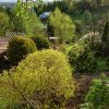 Сегодня был необыкновенный вечерний свет! ☀ Даже поливалка выглядит, как волшебный фонтан ⛲
