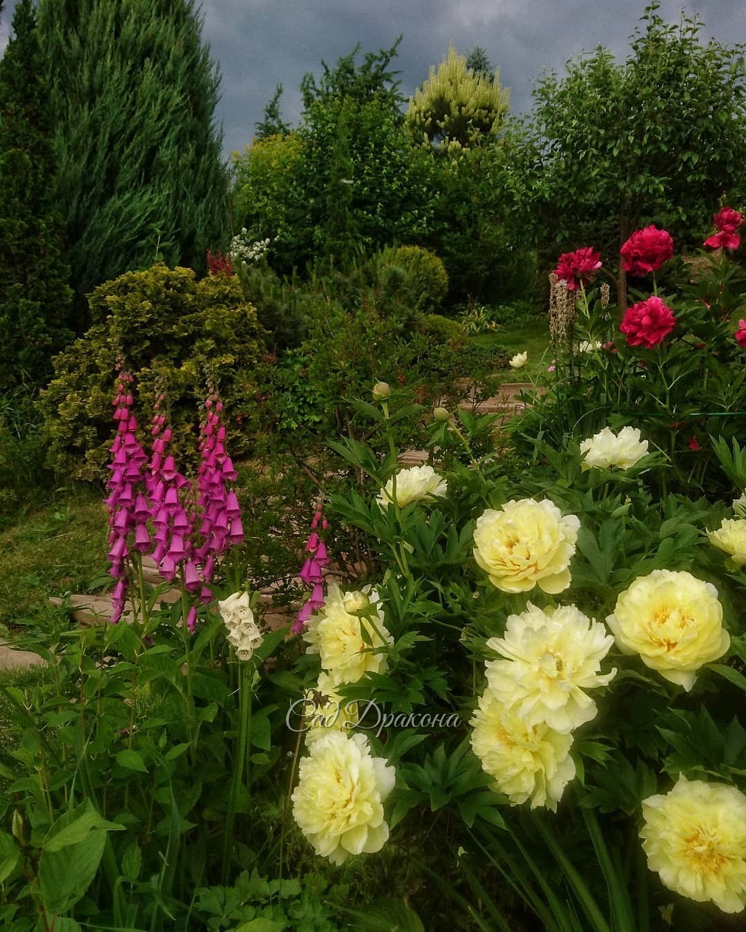 Вчера перед дождём 🌻🌹🌲☁️☁️☁️