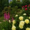 Вчера перед дождём 🌻🌹🌲☁️☁️☁️