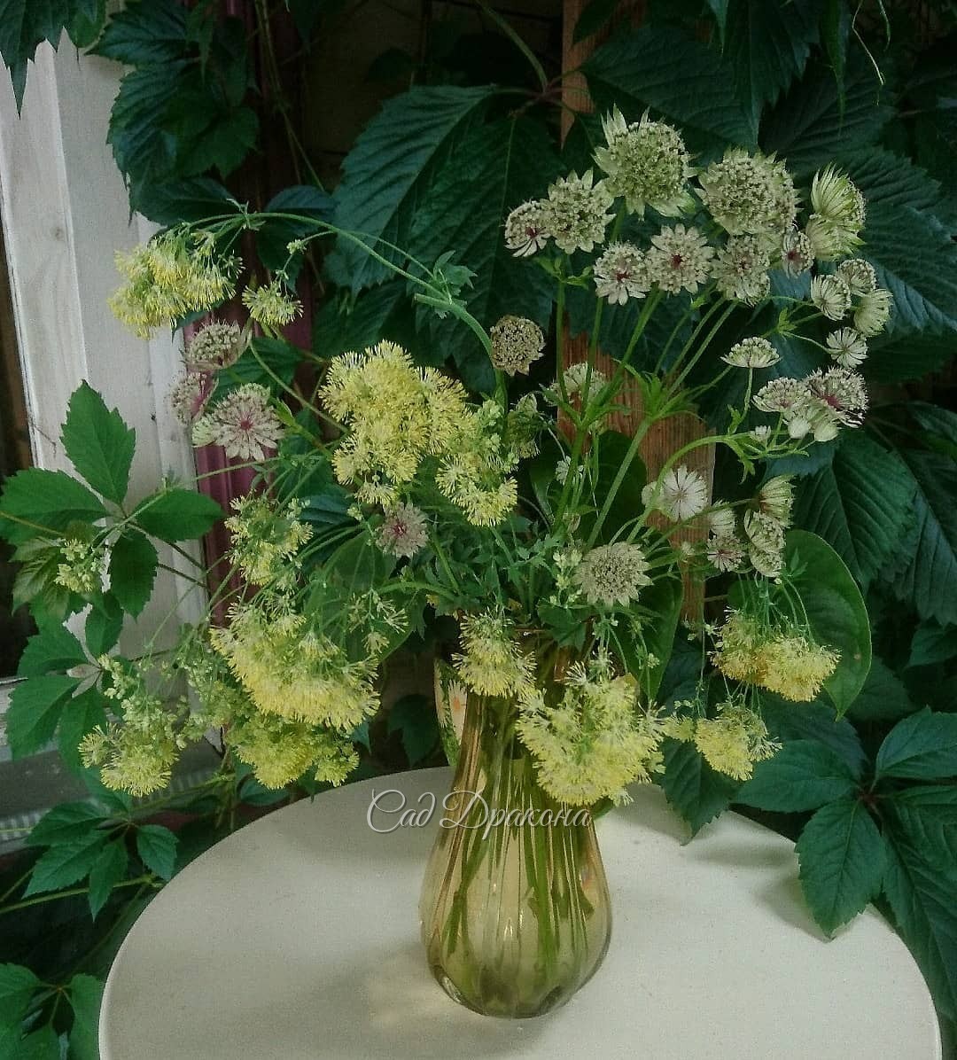 Два букета в середине лета 😊💐🌼