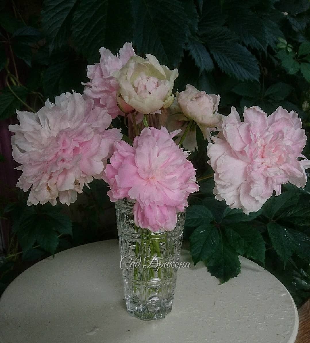 Два букета в середине лета 😊💐🌼