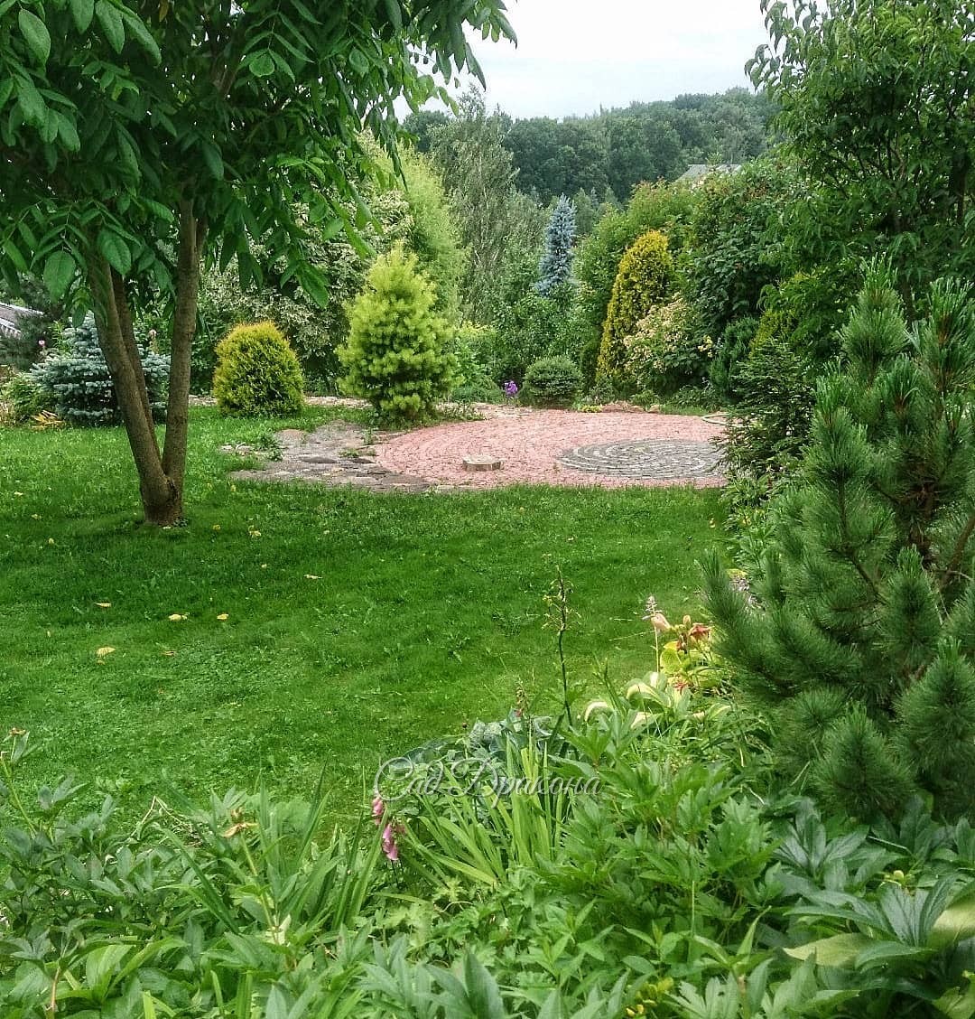 Лето - 100 оттенков зелёного 💚🌲🍀🌳 И жёлтого, и голубого... 😁 Никогда не наскучит! 🤗