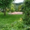 Лето - 100 оттенков зелёного 💚🌲🍀🌳 И жёлтого, и голубого... 😁 Никогда не наскучит! 🤗