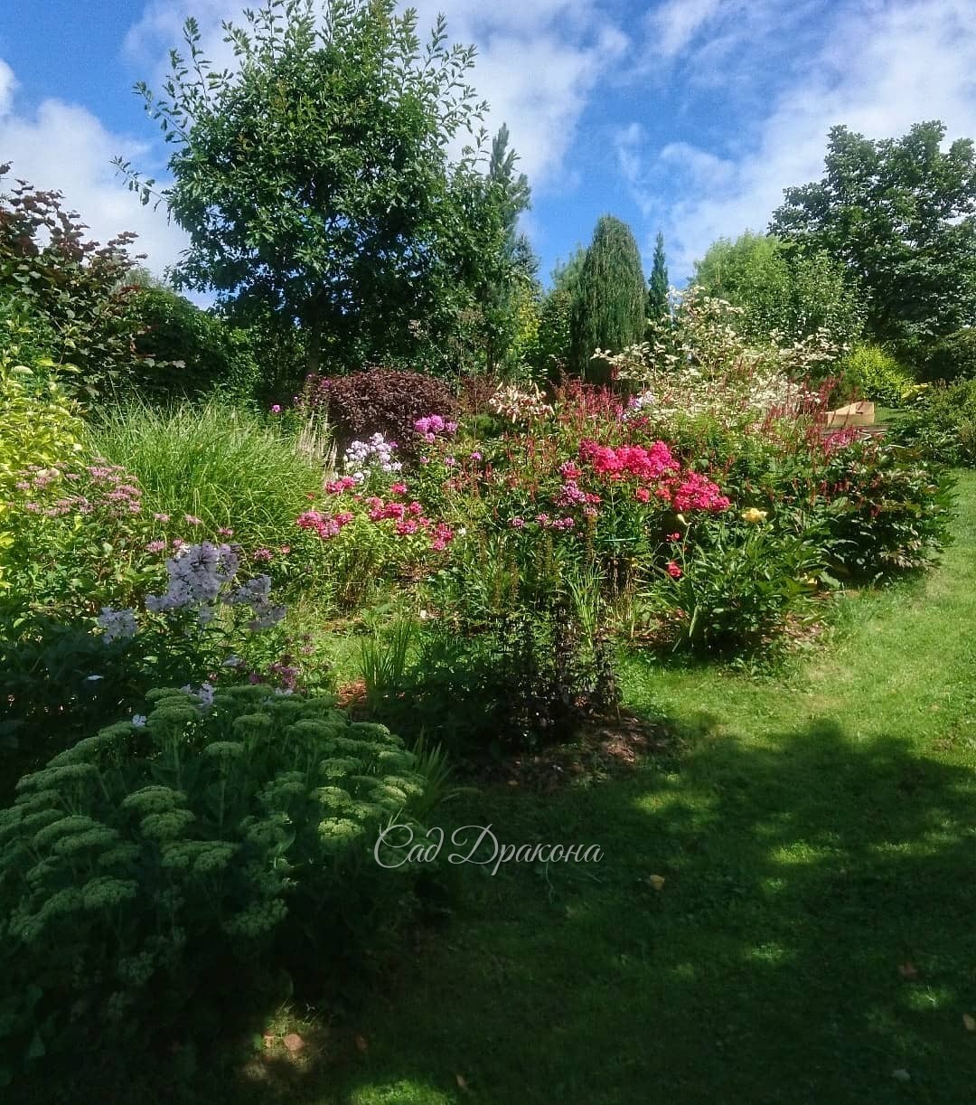 Нижний сад в августе 🌸 - в пасмурность ☁️ и с солнышком ☀