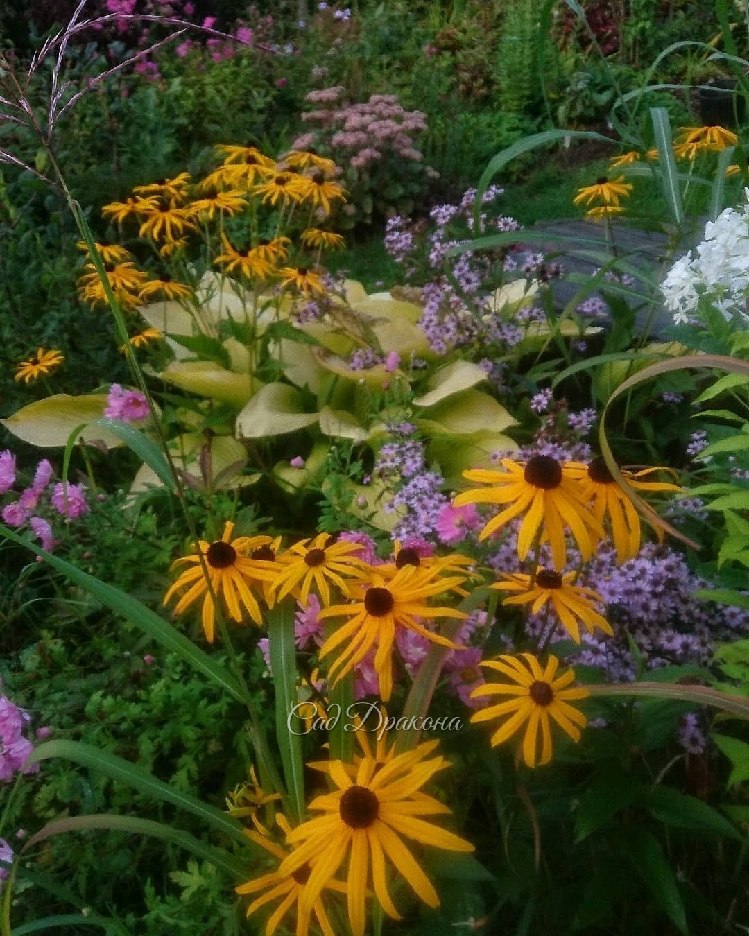 Нижний сад в ярких осенних красках 🌻🌸💮