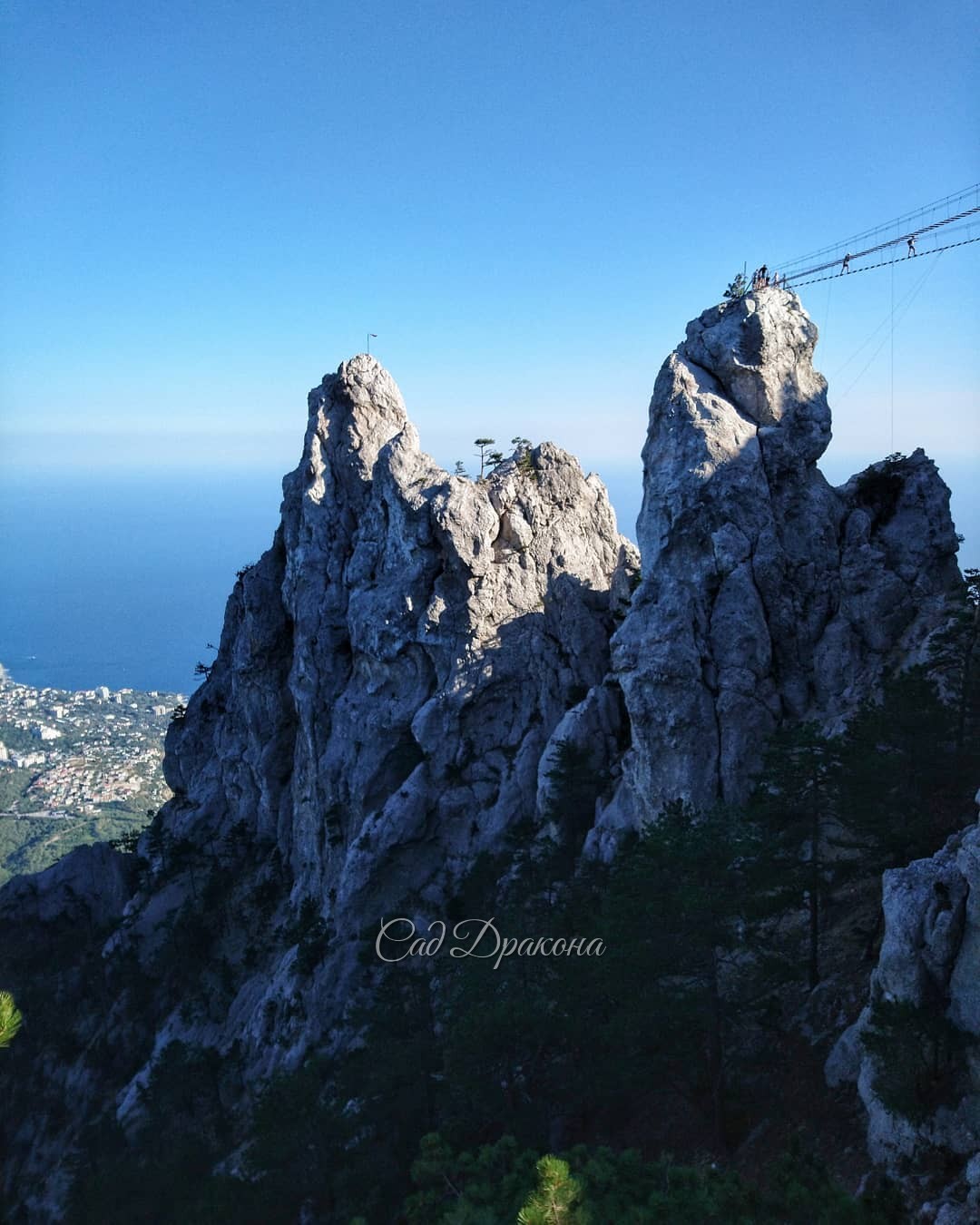 Ай-Петри, сбывшаяся мечта... 💫🏔 Вид на Ялту до самого Аю-Дага! 🏞 Зубцы, ⛰️ обрывы, вид в дргую сторону - всё, как на ладони... Чистейший воздух, сосны, 🌲можжевельники, бесконечное море 🌊🌊🌊 Хочется вернуться и провести там весь день! Встать в 6 утра... 😅 С
