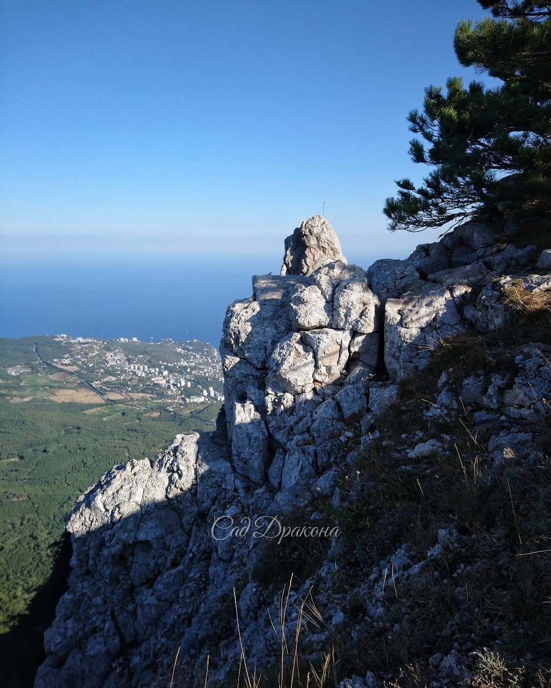 Ай-Петри, сбывшаяся мечта... 💫🏔 Вид на Ялту до самого Аю-Дага! 🏞 Зубцы, ⛰️ обрывы, вид в дргую сторону - всё, как на ладони... Чистейший воздух, сосны, 🌲можжевельники, бесконечное море 🌊🌊🌊 Хочется вернуться и провести там весь день! Встать в 6 утра... 😅 С