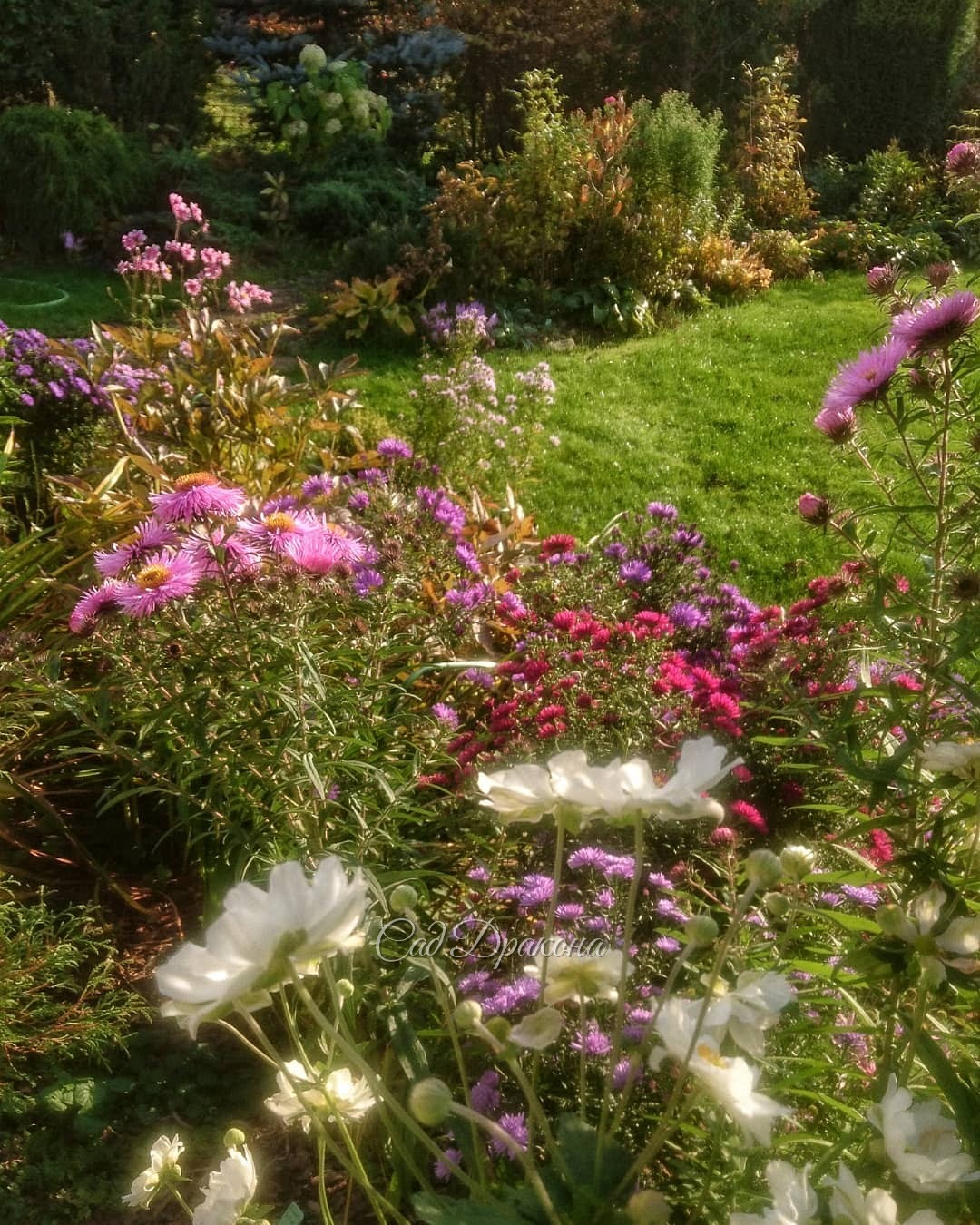 Солнечный октябрьский день может быть таким нарядным! 🌸☀💐🌼🌿 И играть красками до самого заката 🌅😊