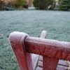 Первый мороз... ❄