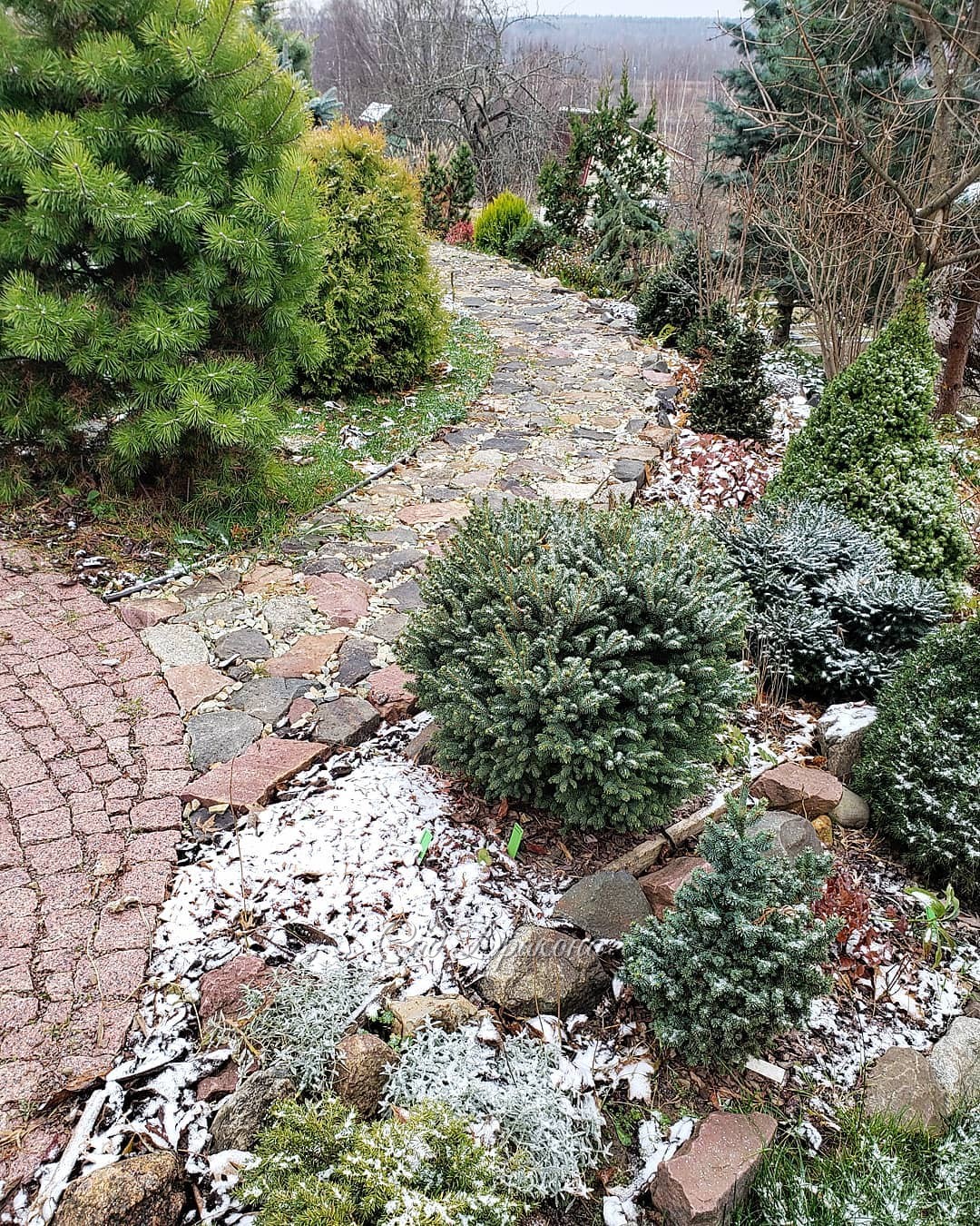 Сегодня и вчера 🌲🌲🌳❄❄❄