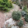 Сегодня и вчера 🌲🌲🌳❄❄❄