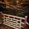 У нас снега совсем немножко...) ❄