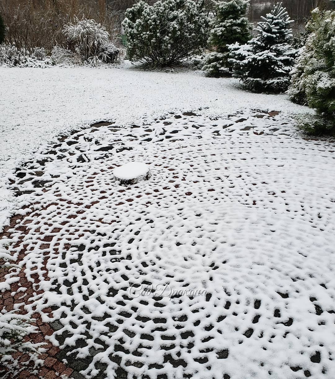 Третий снег, ❄️ теперь уже по сезону :) Площадка "Голова Дракона" 🐲хорошо читается с лёгким снежком ❄️🌲👌