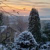 Надвигается мороз... 🌬️⛄❄️ Мы всё успели, сегодня посадили последний пион 🌱🤣