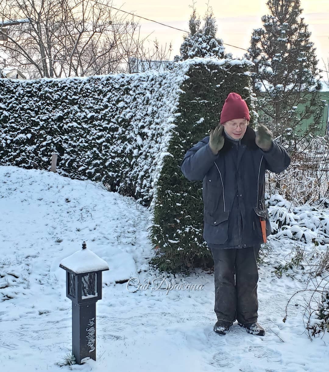 Вчера попросила Женю постоять возле живой изгороди для масштаба. 🌲 А то она кажется маленькой на 2м фото ➡️ И поняла, что снимать Женю так же сложно, как Персика)) 😽 На первом снимке он смотрел в телефон 📱 Потом моргнул - камера тут же доложила: "объект з