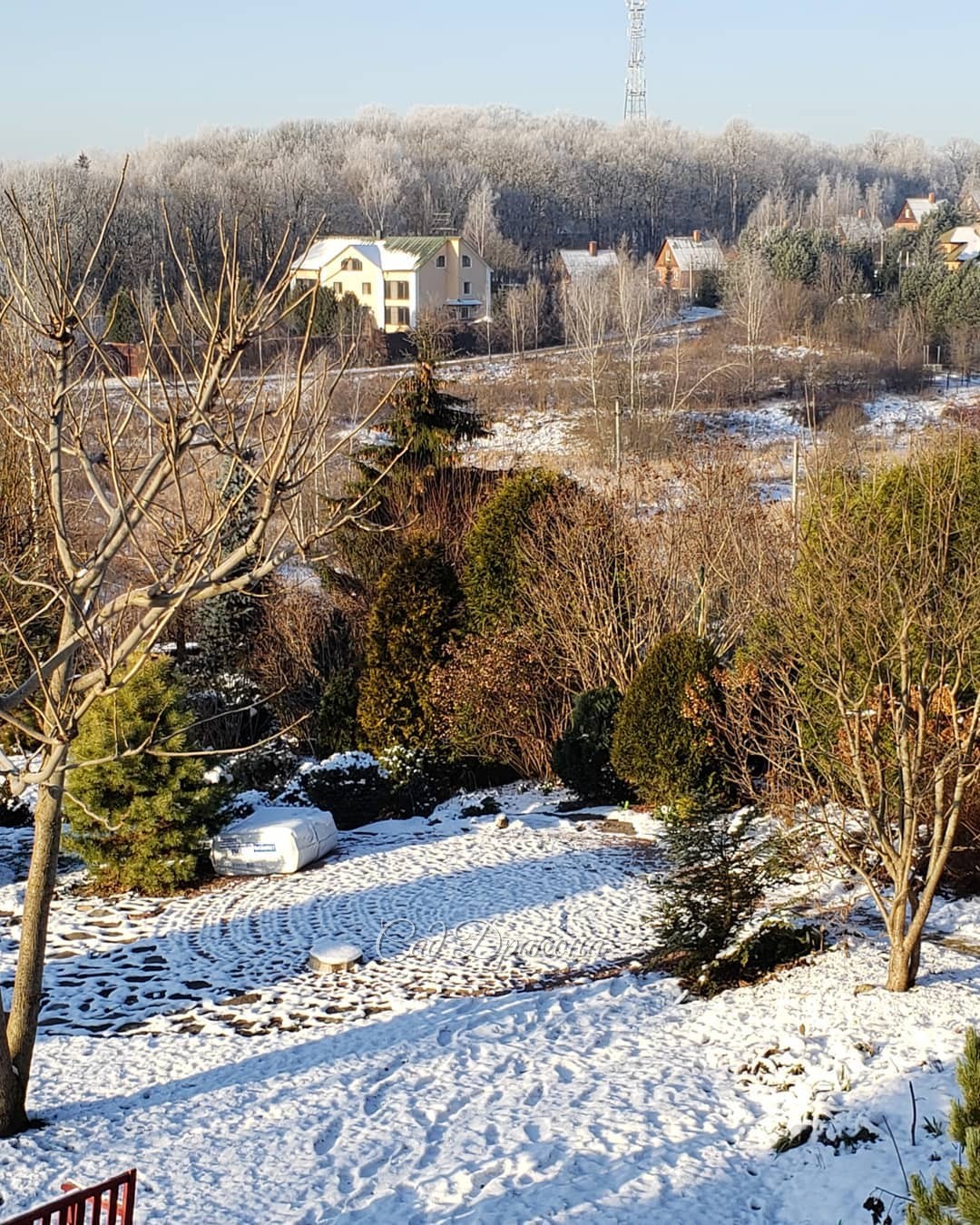 Взгляд направо - дубовая роща в инее ❄️ Взгляд налево - водохранилище замёрзло 🌬️ Сегодня самый холодный день - 10°, завтра потеплеет... ☃️