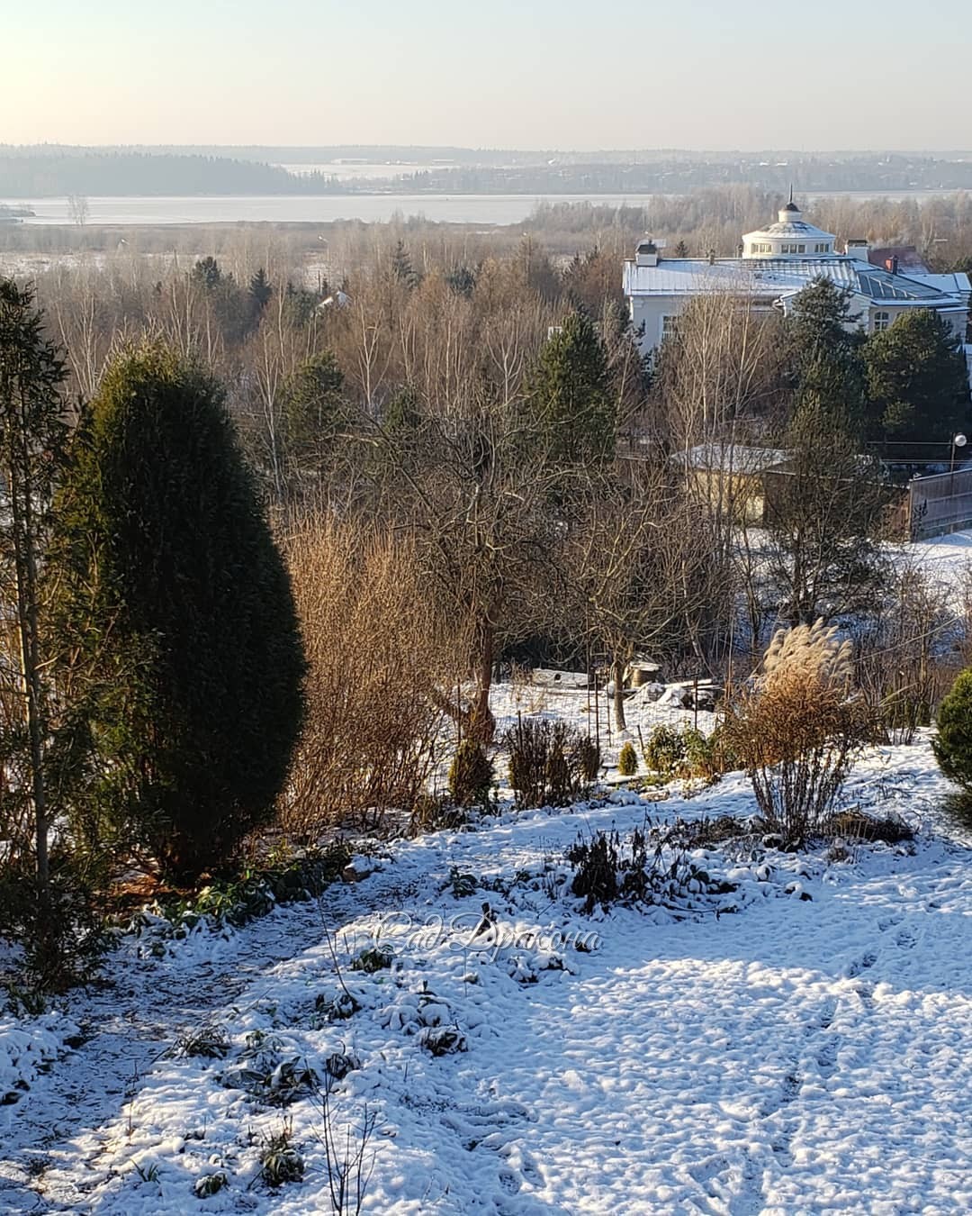 Взгляд направо - дубовая роща в инее ❄️ Взгляд налево - водохранилище замёрзло 🌬️ Сегодня самый холодный день - 10°, завтра потеплеет... ☃️